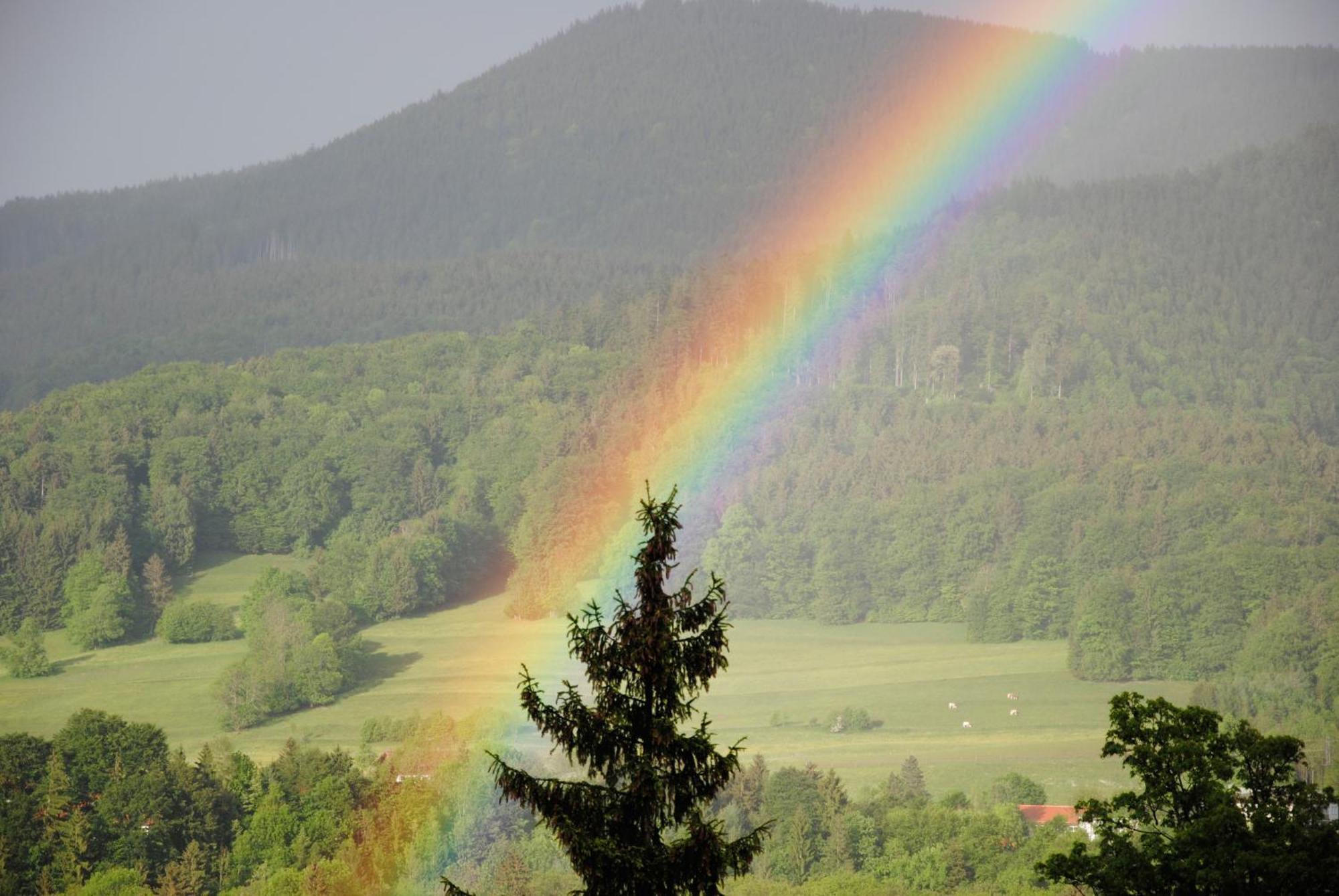Gaestehaus Schroeder Ruhpolding Kültér fotó