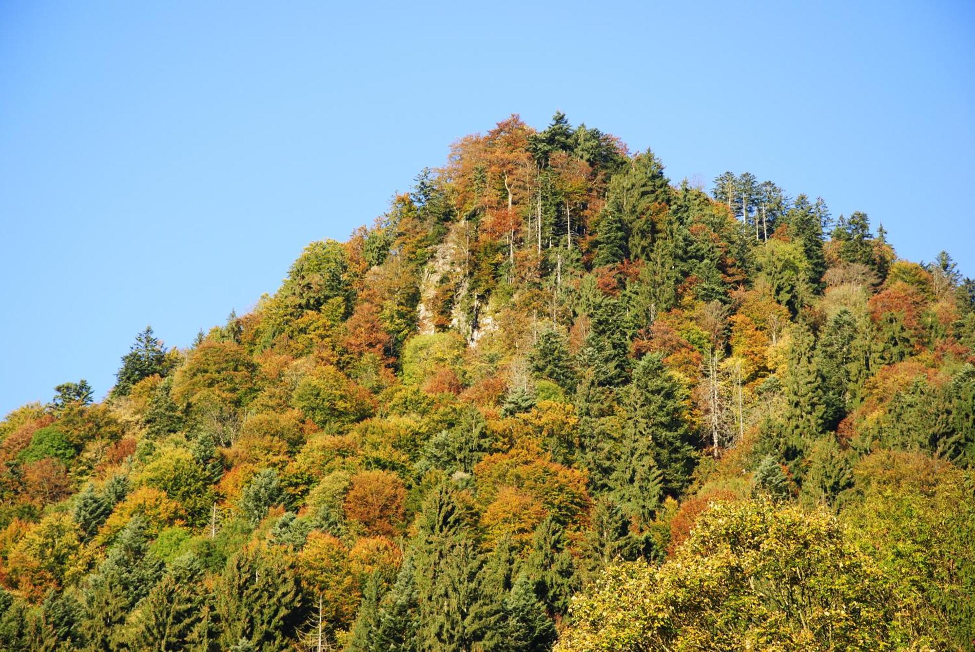 Gaestehaus Schroeder Ruhpolding Kültér fotó